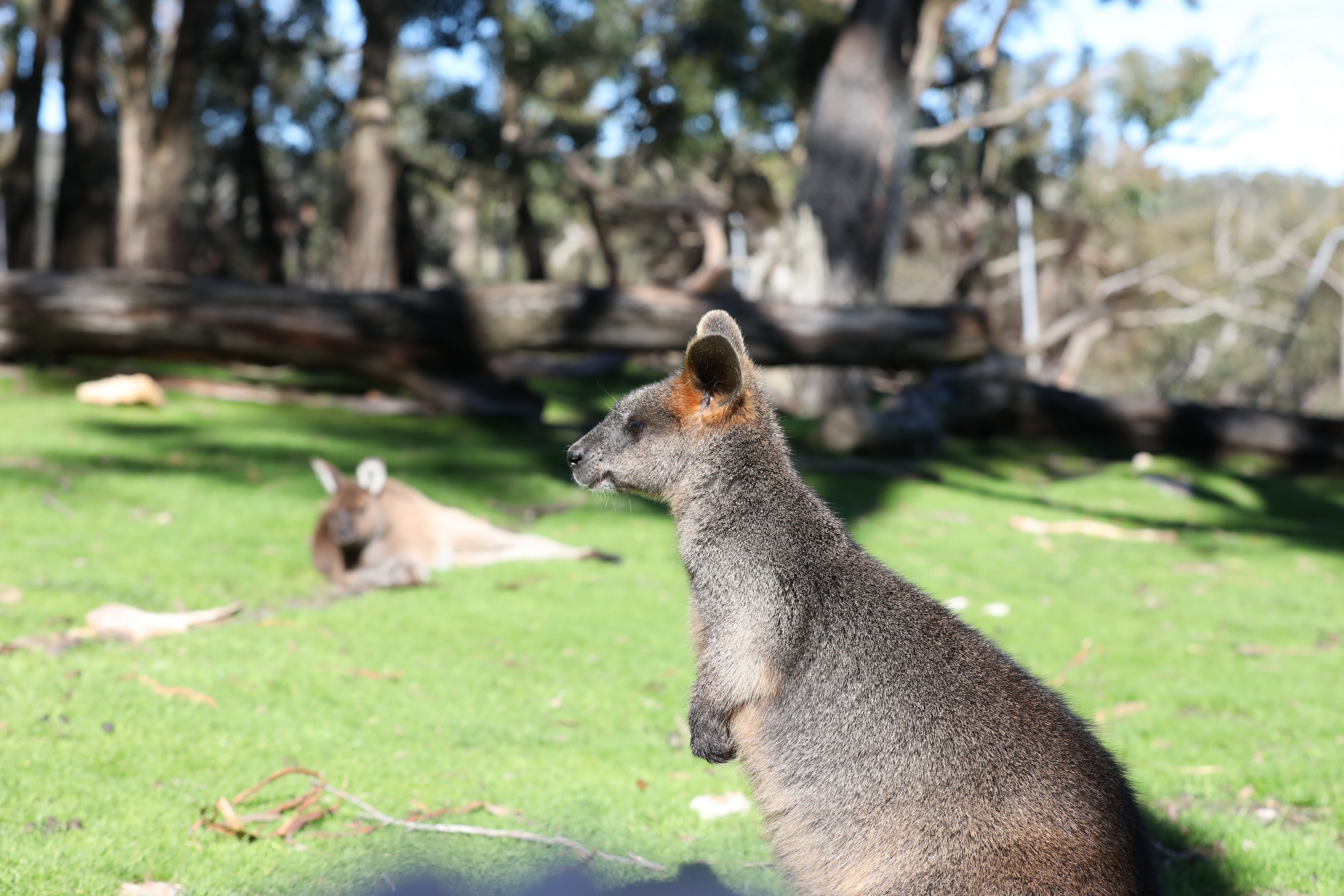 2019 07 19 13 21 50 Canon EOS 5D Mark IV 0007